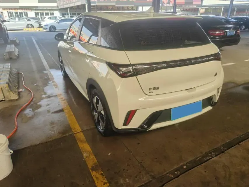 2023 BYD Dolphin BEV 44.928KWH,autocango,china used car exporter,china ev exporter,chinese used car exporter,chinese used ev exporter