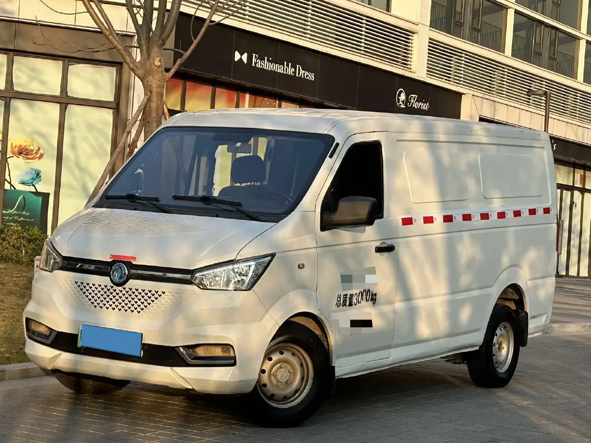 2020 WinnerWay EM60 BEV 41.86KWH