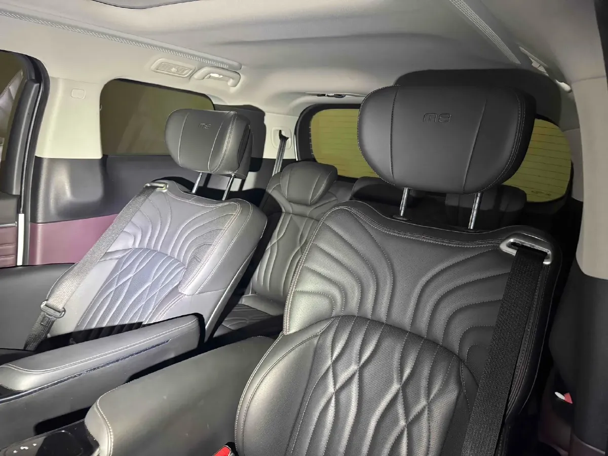 2023 GAC Trumpchi M8 2.0T 252HP L4 8AT,autocango,china used car exporter,china ev exporter,chinese used car exporter,chinese used ev exporter