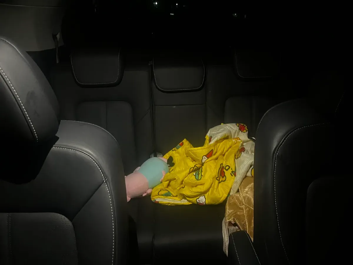 2023 GAC Trumpchi M8 2.0T 252HP L4 8AT,autocango,china used car exporter,china ev exporter,chinese used car exporter,chinese used ev exporter