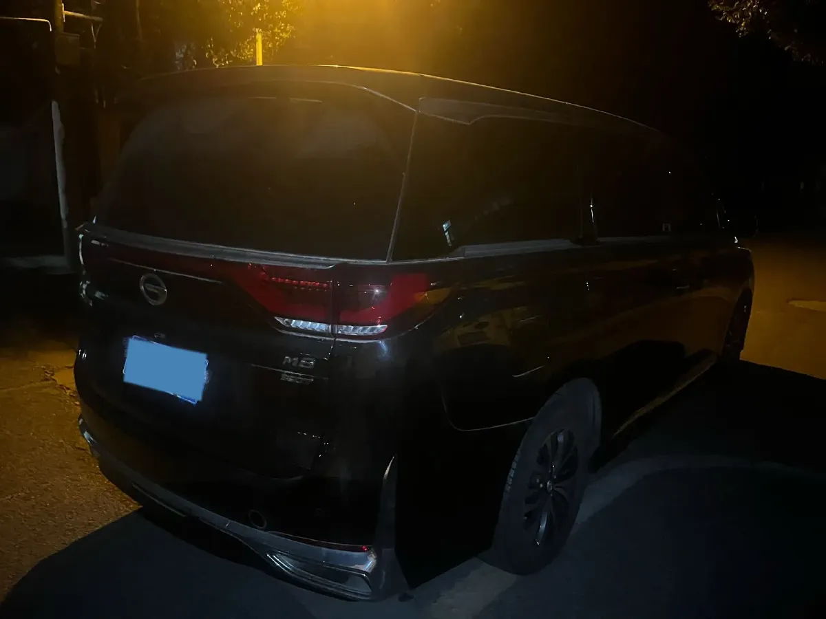 2023 GAC Trumpchi M8 2.0T 252HP L4 8AT,autocango,china used car exporter,china ev exporter,chinese used car exporter,chinese used ev exporter