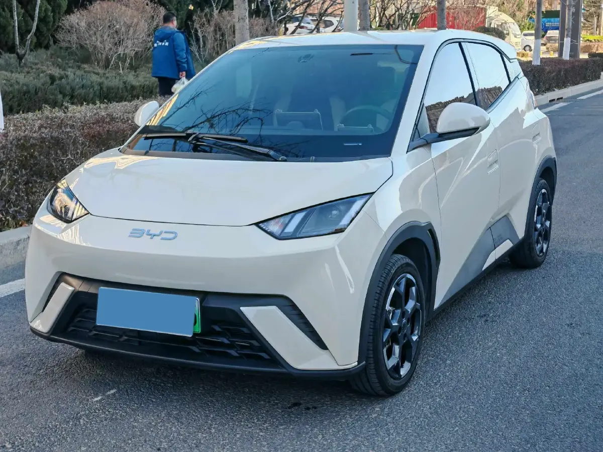 2025 BYD Seagull BEV 30.08KWH