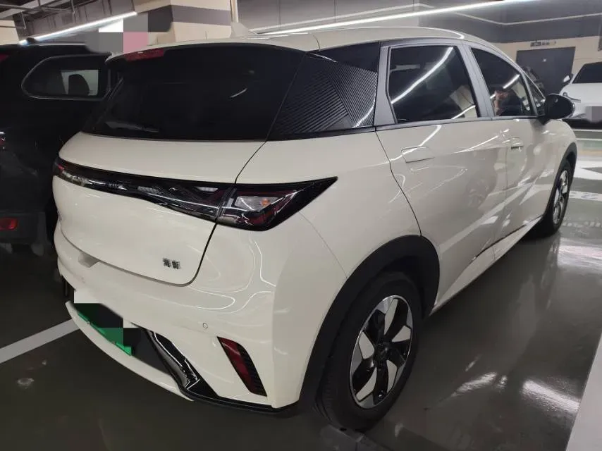 2023 BYD Dolphin BEV 44.928KWH,autocango,china used car exporter,china ev exporter,chinese used car exporter,chinese used ev exporter