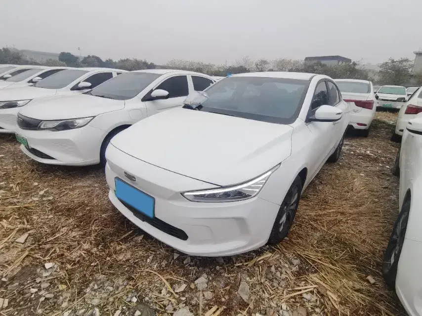 2019 Geometry A BEV 51.9KWH