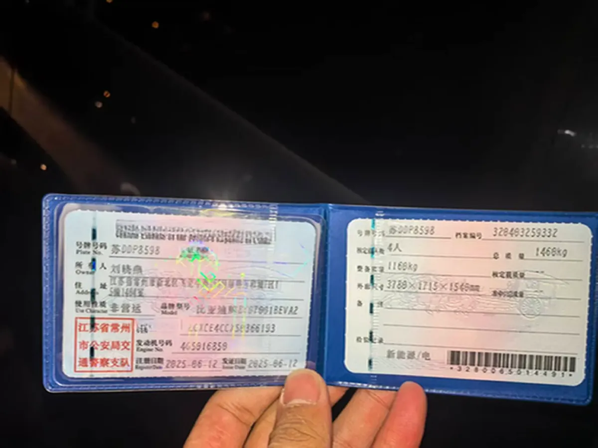 2025 BYD Seagull BEV 30.08KWH,autocango,china used car exporter,china ev exporter,chinese used car exporter,chinese used ev exporter