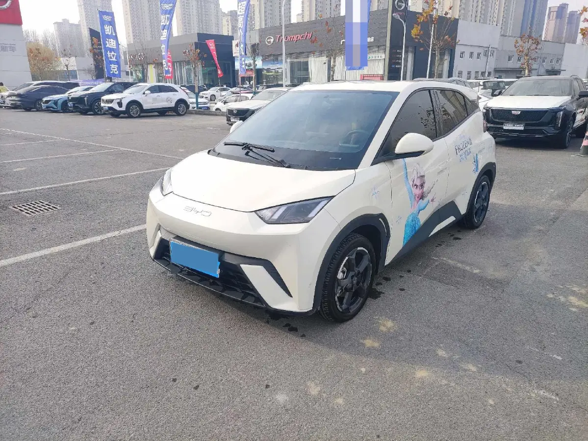 2023 BYD Yuan Pro BEV 38KWH