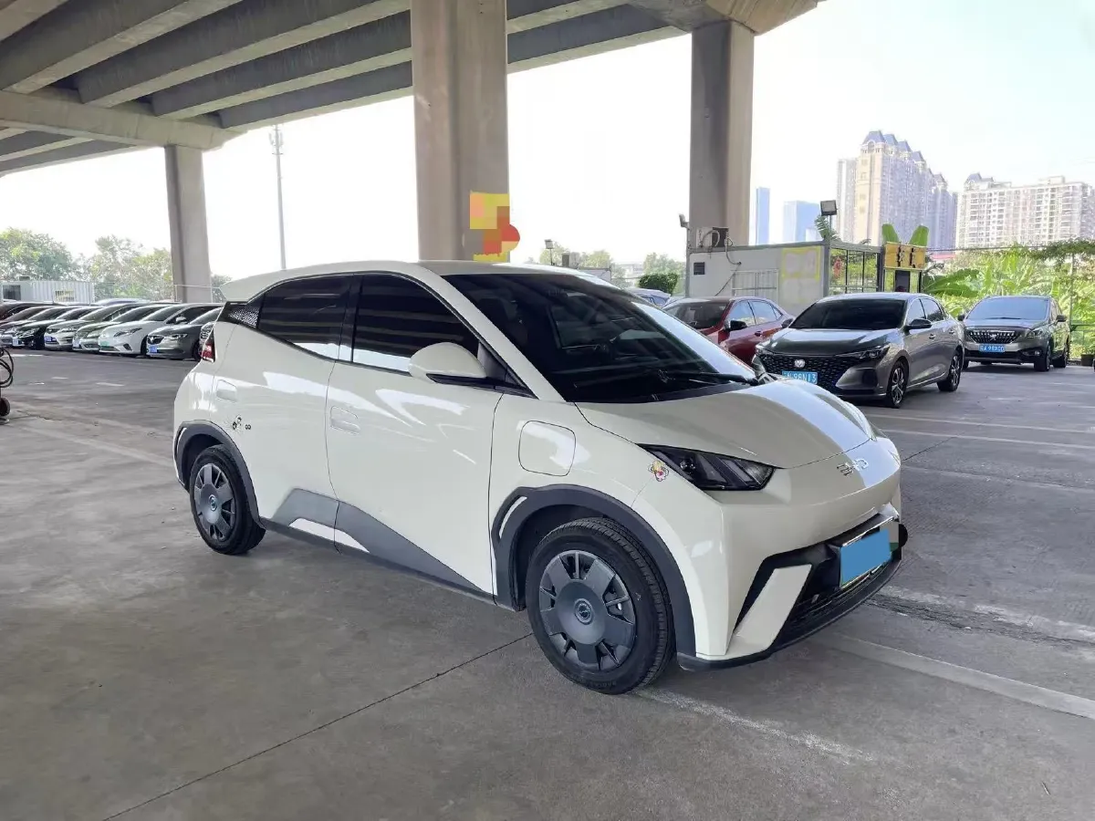 2024 BYD Seagull BEV 30.08KWH,autocango,china used car exporter,china ev exporter,chinese used car exporter,chinese used ev exporter