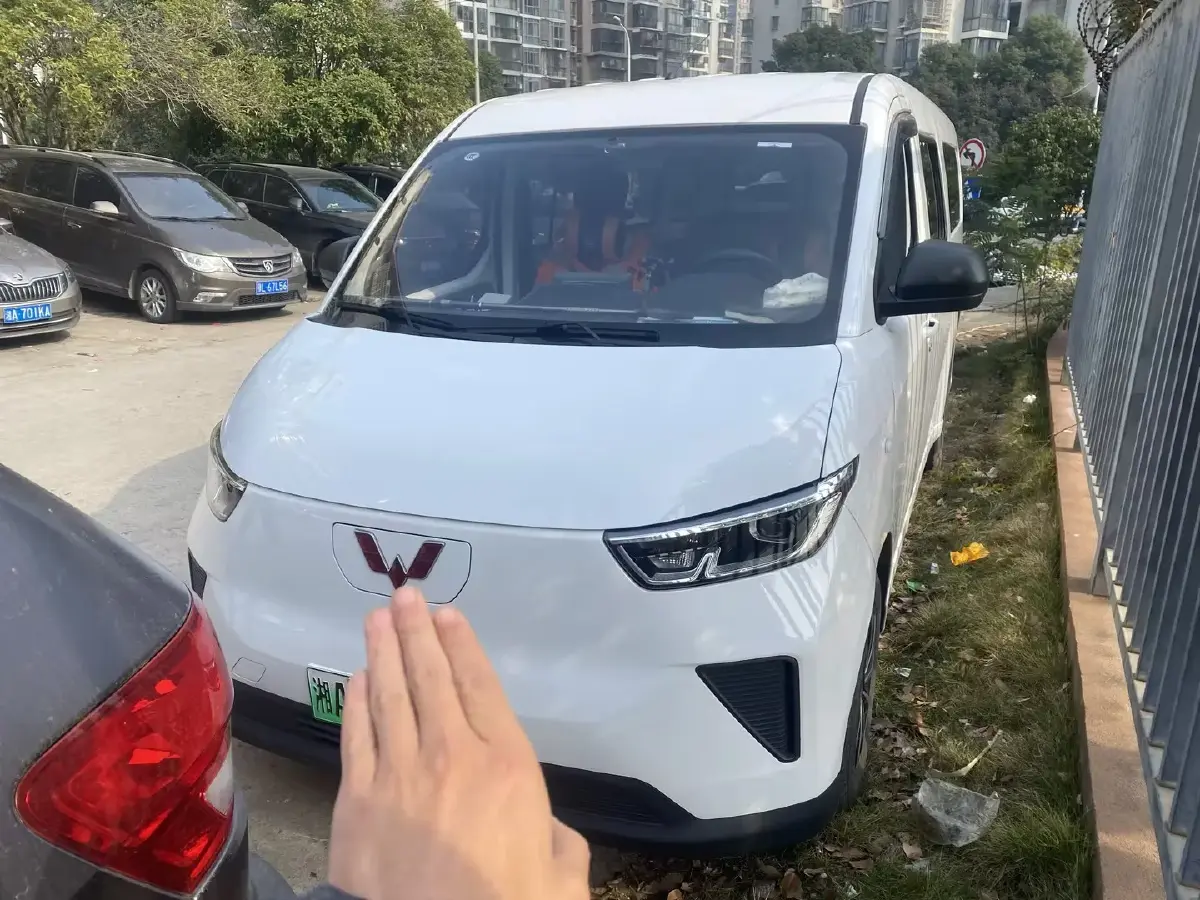 2024 WuLing YangGuang BEV 41.9KWH