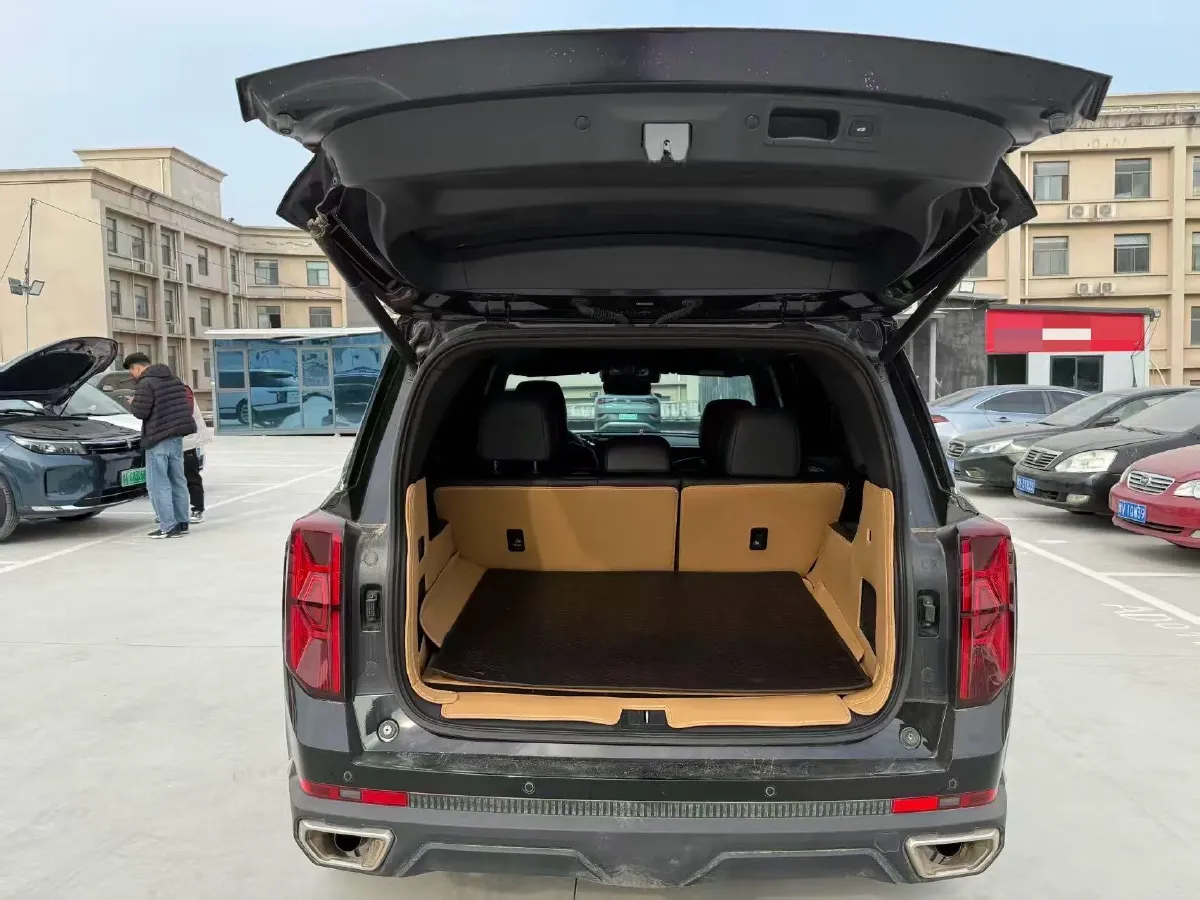 2025 GAC Trumpchi GS8 2.0T 252HP L4 8AT,autocango,china used car exporter,china ev exporter,chinese used car exporter,chinese used ev exporter