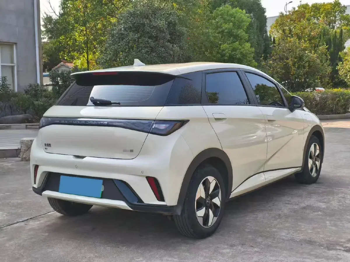 2024 BYD Dolphin BEV 44.928KWH,autocango,china used car exporter,china ev exporter,chinese used car exporter,chinese used ev exporter