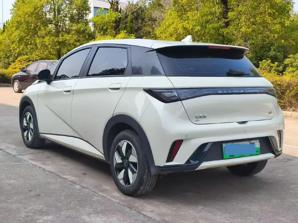 2024 BYD Dolphin BEV 44.928KWH,autocango,china used car exporter,china ev exporter,chinese used car exporter,chinese used ev exporter