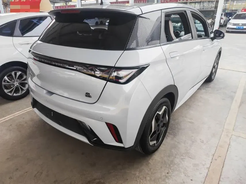 2021 BYD Yuan Pro BEV 50.1KWH,autocango,china used car exporter,china ev exporter,chinese used car exporter,chinese used ev exporter