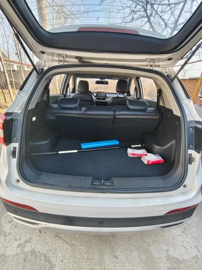 2017 BaoJun 310W 1.5L 105HP L4 6MT,autocango,china used car exporter,china ev exporter,chinese used car exporter,chinese used ev exporter