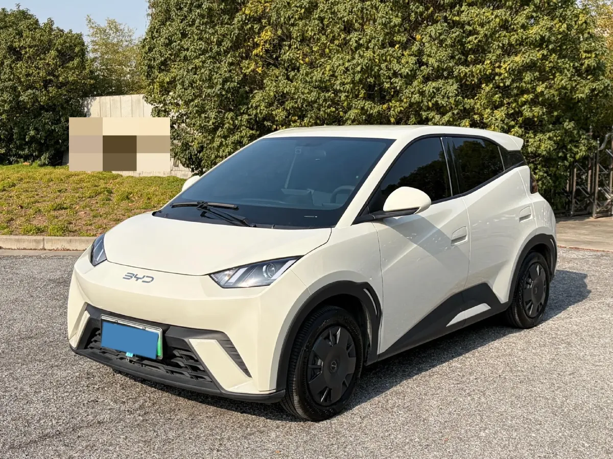 2024 BYD Seagull BEV 30.08KWH,autocango,china used car exporter,china ev exporter,chinese used car exporter,chinese used ev exporter