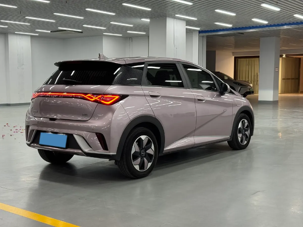 2024 BYD Dolphin BEV 44.928KWH,autocango,china used car exporter,china ev exporter,chinese used car exporter,chinese used ev exporter