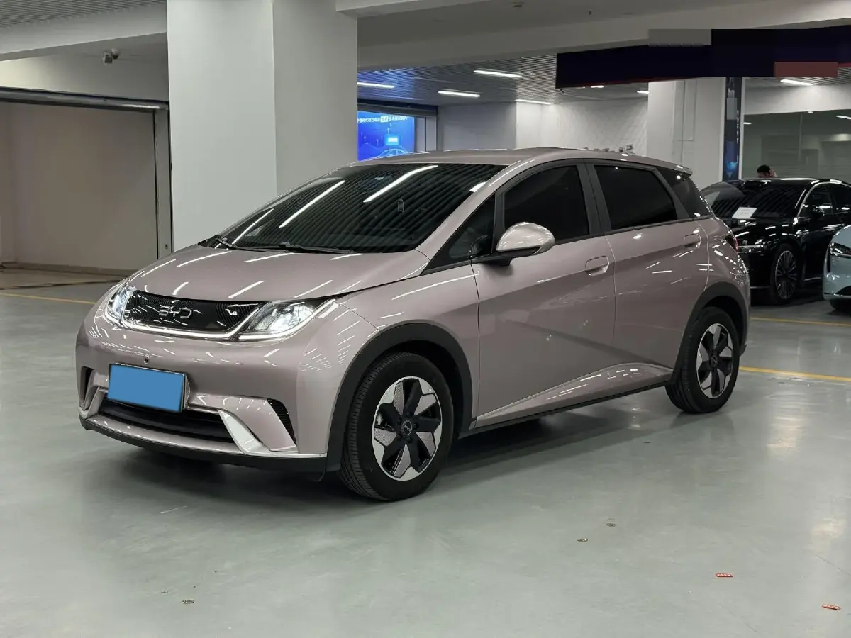 2024 BYD Dolphin BEV 44.928KWH
