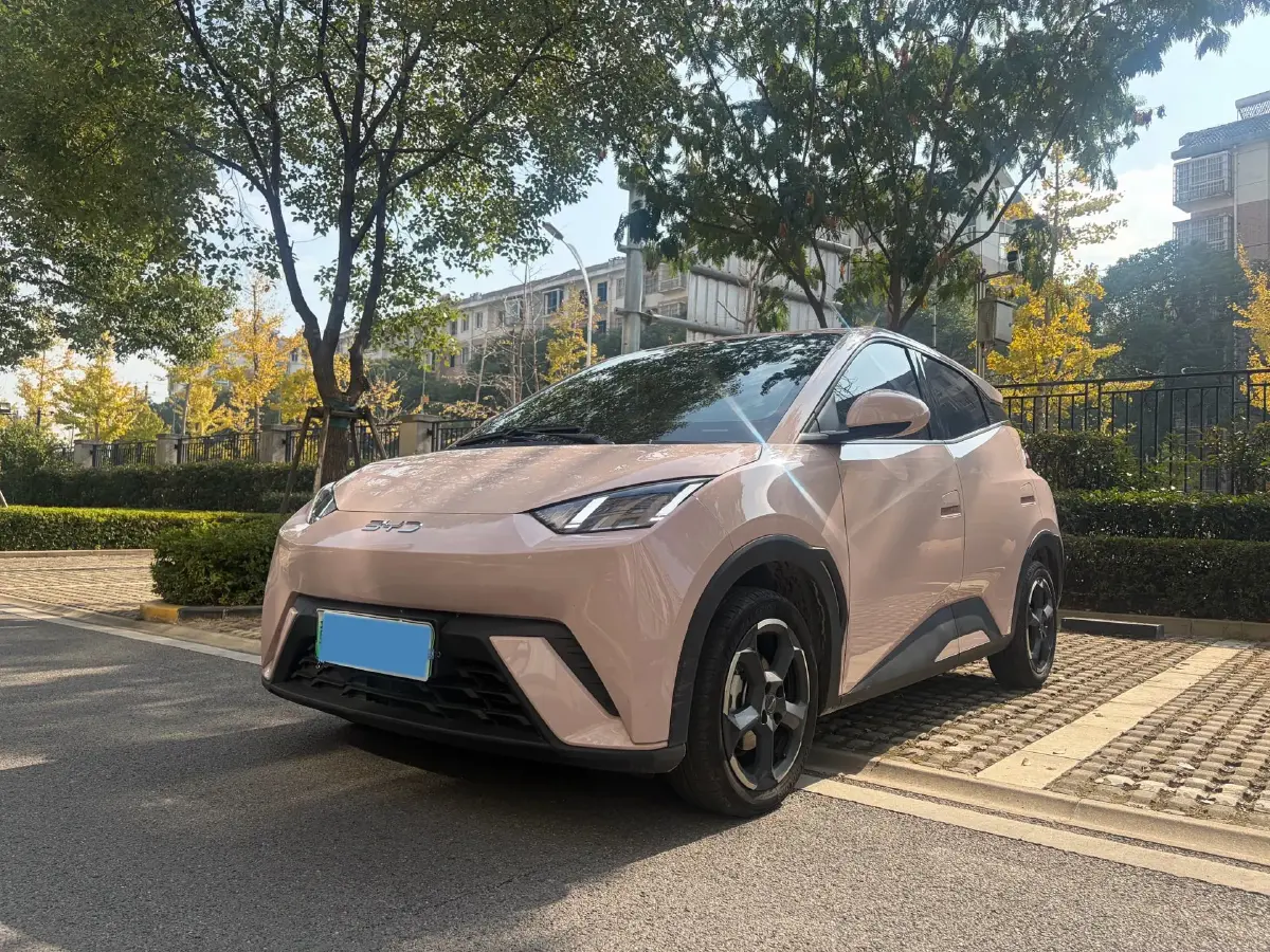 2023 JiangNan U2 BEV 43KWH