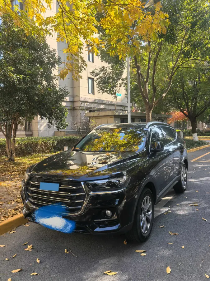 2021 Haval H6 1.5T 169HP L4 7DCT