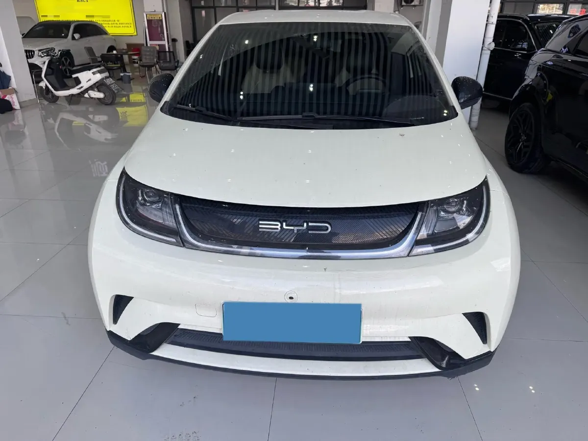 2023 BYD Dolphin BEV 44.928KWH,autocango,china used car exporter,china ev exporter,chinese used car exporter,chinese used ev exporter