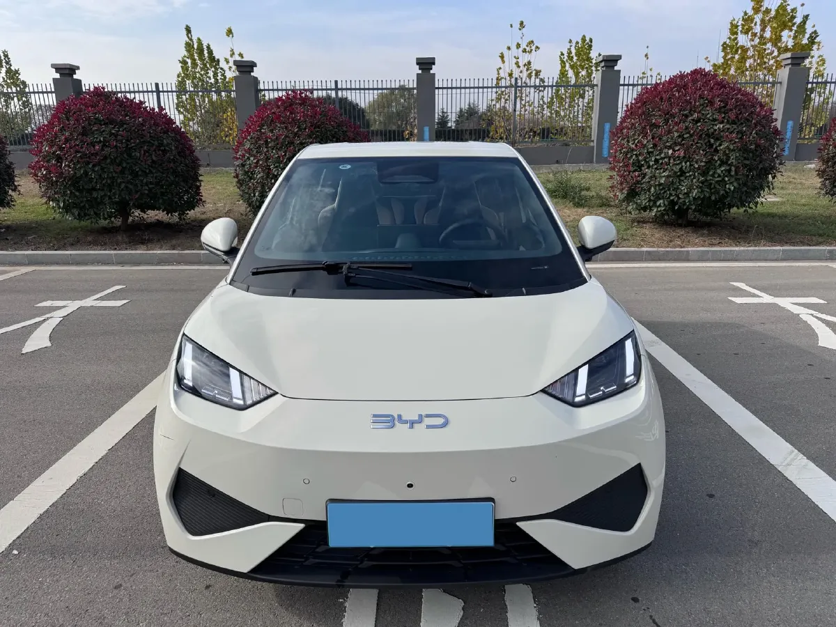 2025 BYD Seagull BEV 30.08KWH,autocango,china used car exporter,china ev exporter,chinese used car exporter,chinese used ev exporter