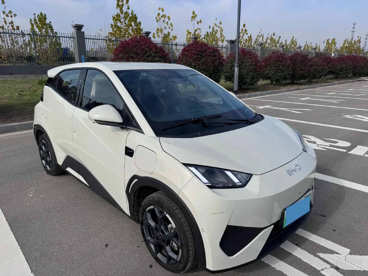 2025 BYD Seagull BEV 30.08KWH,autocango,china used car exporter,china ev exporter,chinese used car exporter,chinese used ev exporter