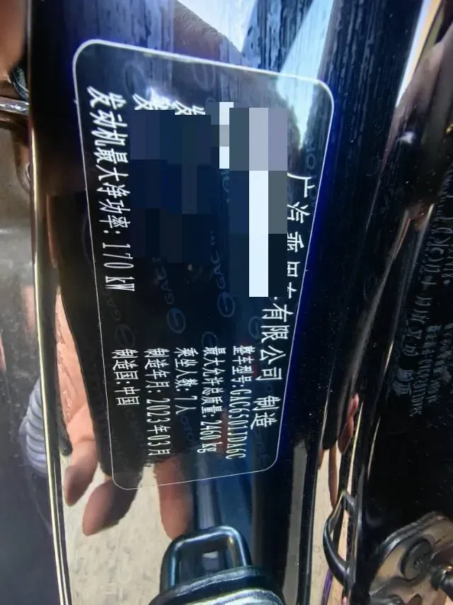 2022 GAC Trumpchi GS8 2.0T 252HP L4 8AT,autocango,china used car exporter,china ev exporter,chinese used car exporter,chinese used ev exporter