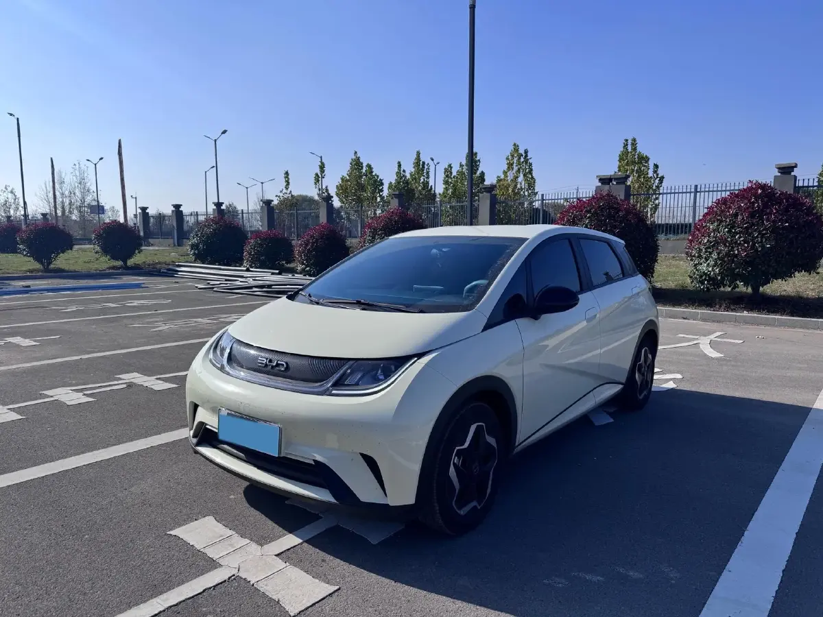 2025 BYD Dolphin BEV 44.928KWH
