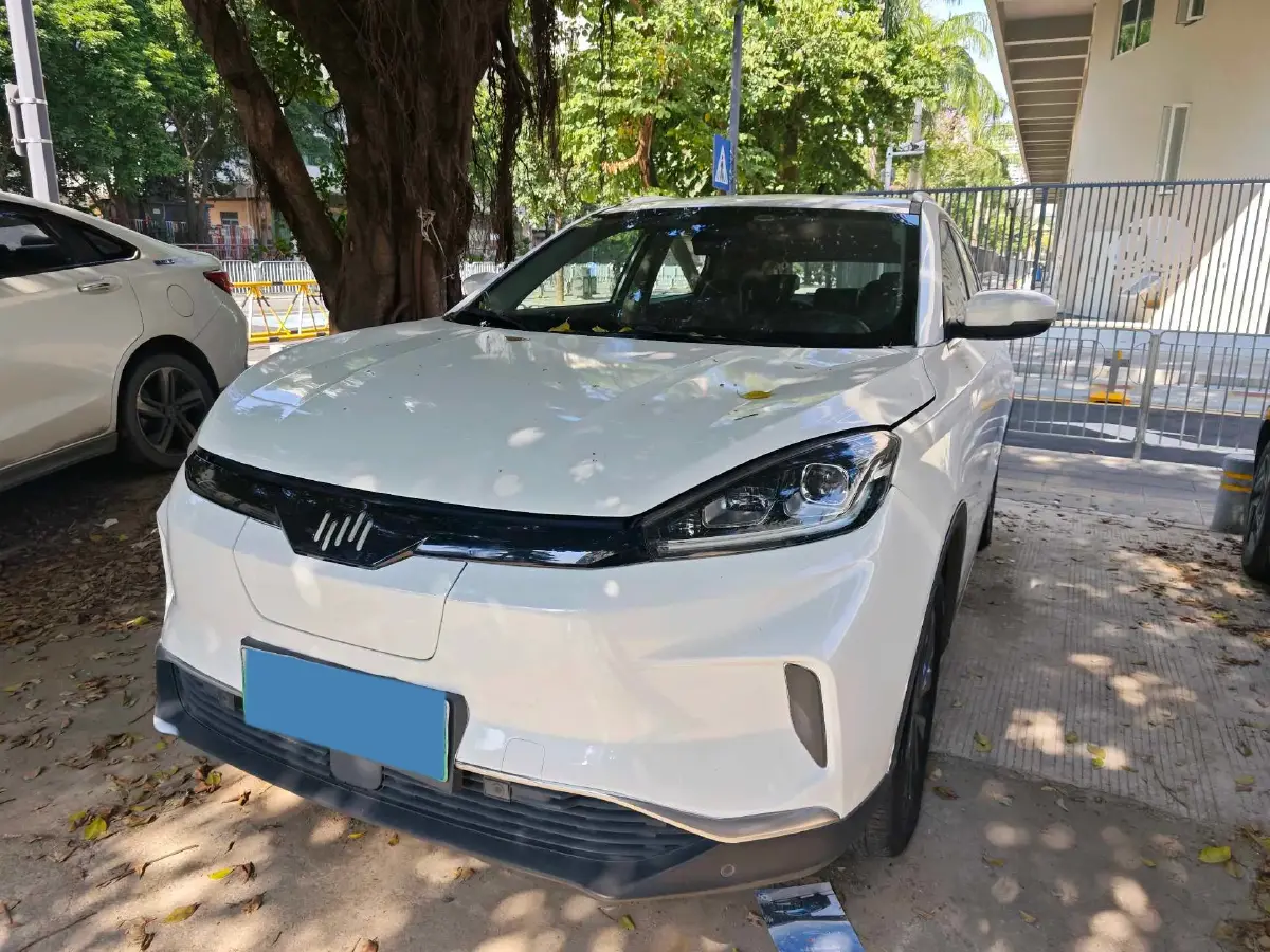 2019 Weltmeister EX5 BEV 69KWH