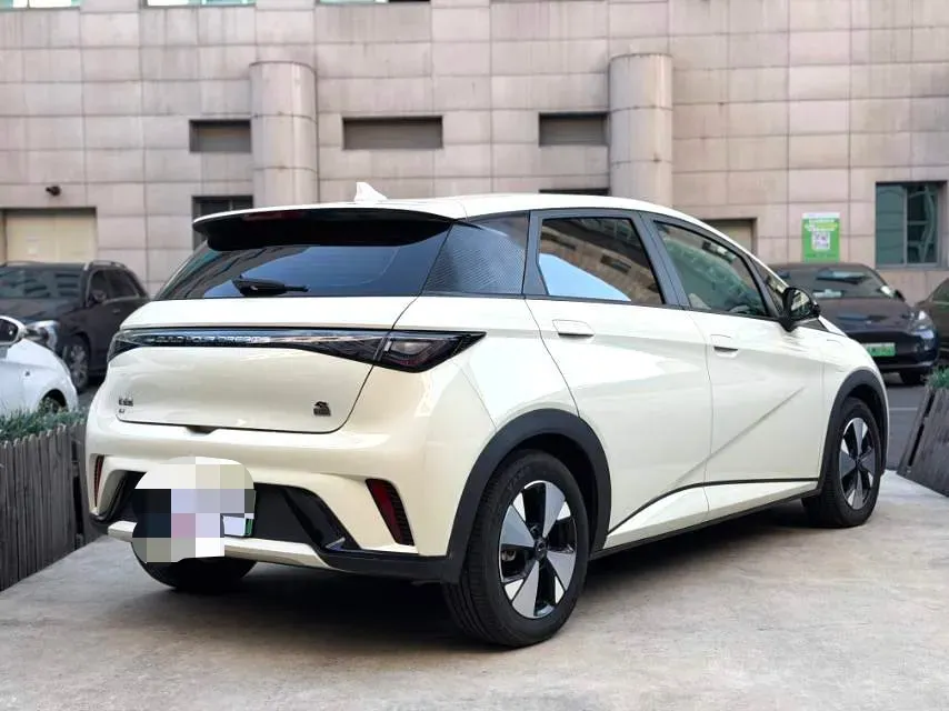 2023 BYD Dolphin BEV 44.928KWH,autocango,china used car exporter,china ev exporter,chinese used car exporter,chinese used ev exporter