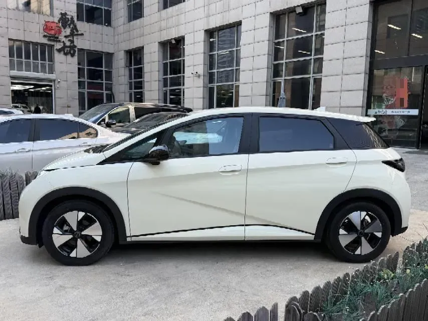 2023 BYD Dolphin BEV 44.928KWH,autocango,china used car exporter,china ev exporter,chinese used car exporter,chinese used ev exporter