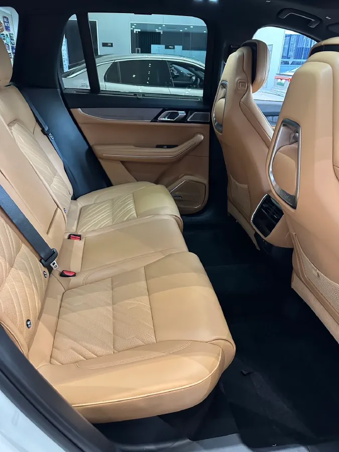 2024 LYNK&CO 09 2.0T 254HP L4 8AT,autocango,china used car exporter,china ev exporter,chinese used car exporter,chinese used ev exporter