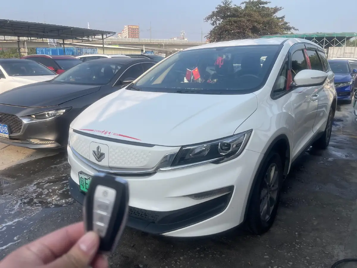 2021 Livan Maple 80v BEV 53KWH