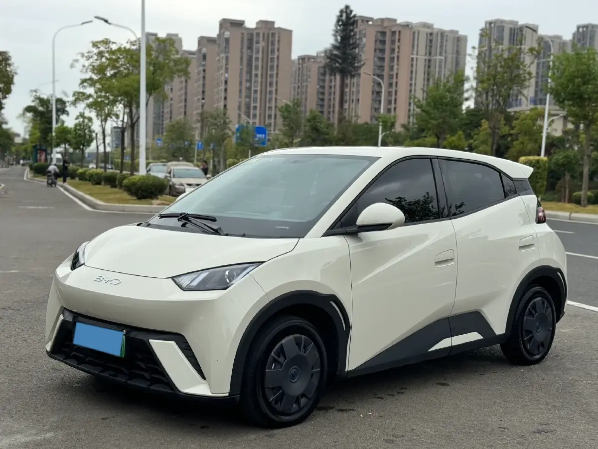 2024 BYD Seagull BEV 30.08KWH