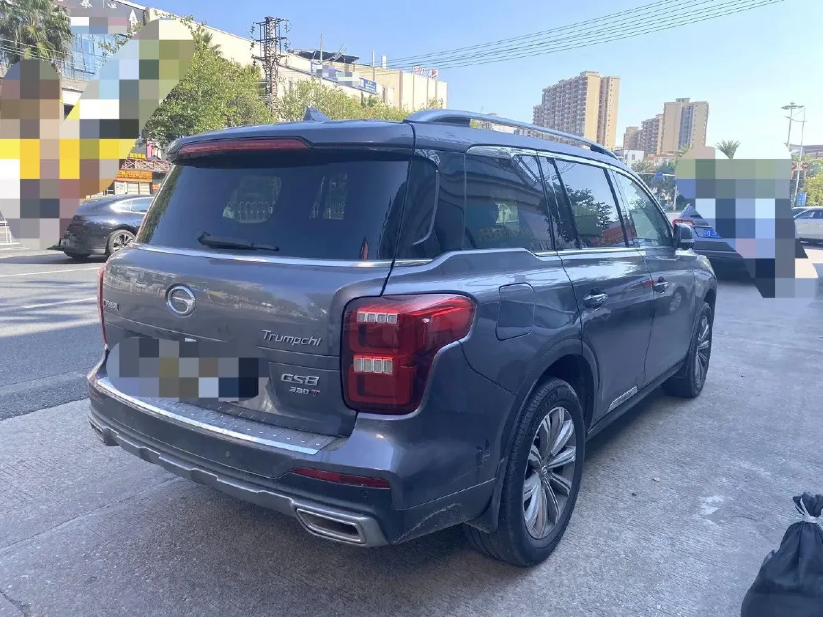 2020 GAC Trumpchi GS8 2.0T 252HP L4 6AT,autocango,china used car exporter,china ev exporter,chinese used car exporter,chinese used ev exporter