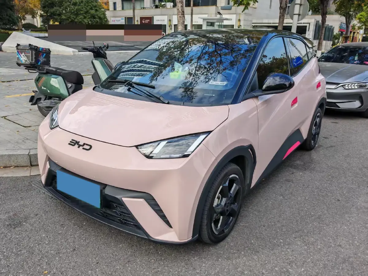 2024 BYD Seagull BEV 38.88KWH