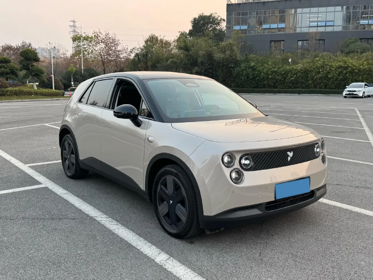 2025 Firefly Firefly BEV,autocango,china used car exporter,china ev exporter,chinese used car exporter,chinese used ev exporter