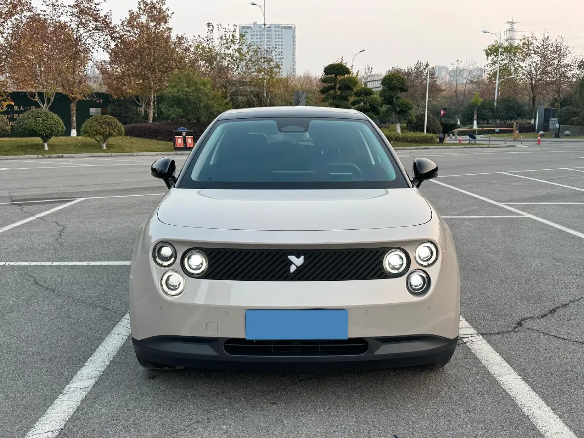 2025 Firefly Firefly BEV,autocango,china used car exporter,china ev exporter,chinese used car exporter,chinese used ev exporter