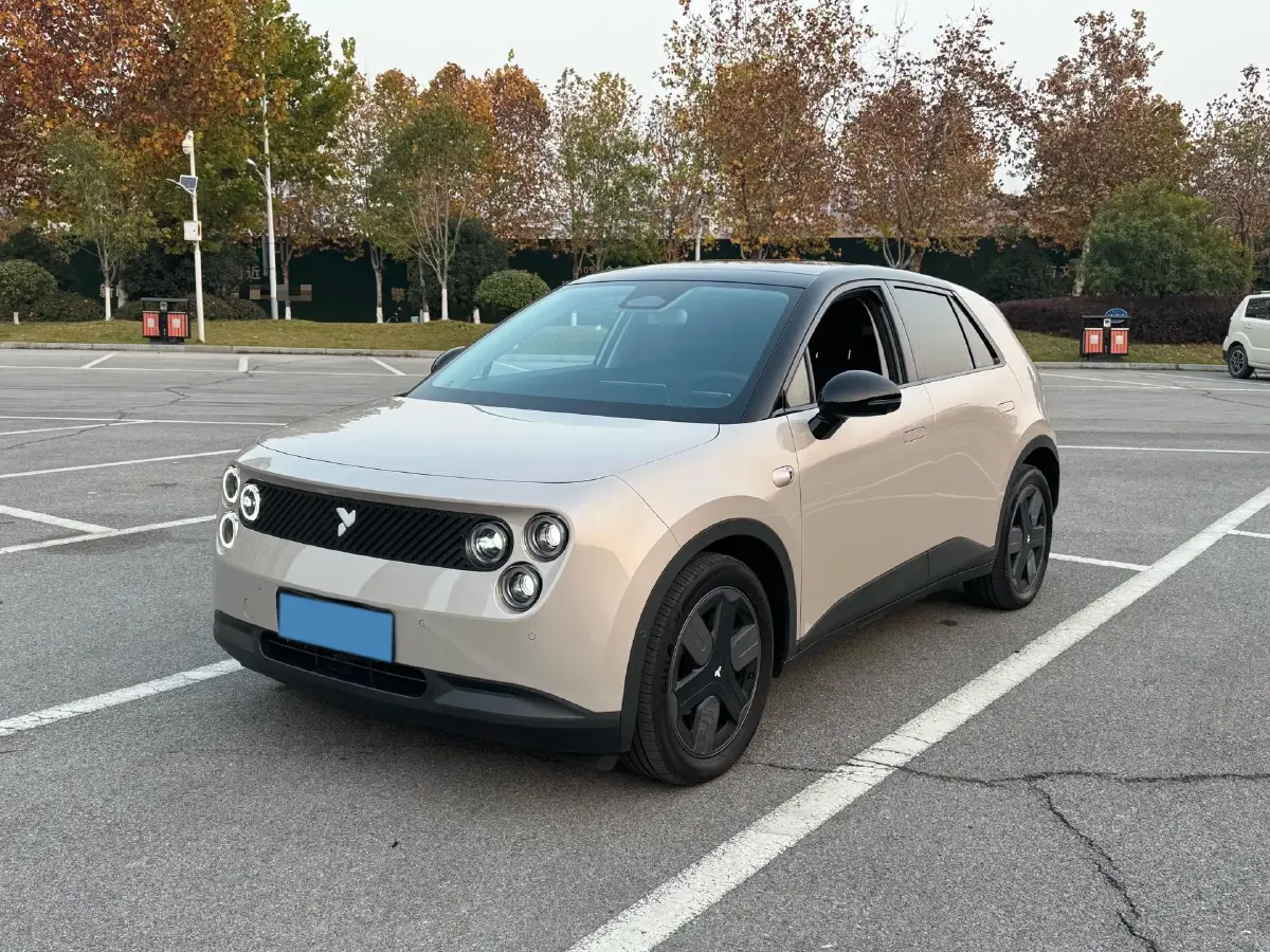 2025 Firefly Firefly BEV