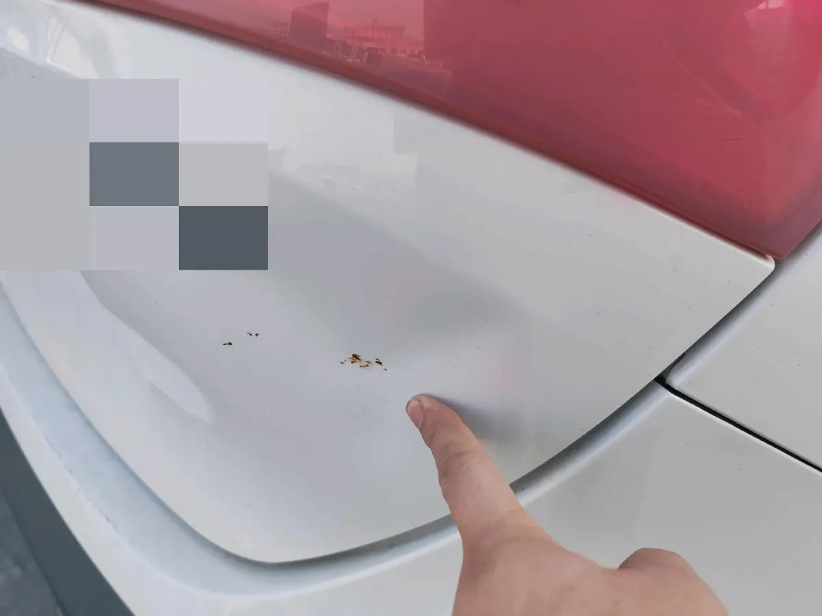 2018 BaoJun 530 1.5T 150HP L4 6MT,autocango,china used car exporter,china ev exporter,chinese used car exporter,chinese used ev exporter