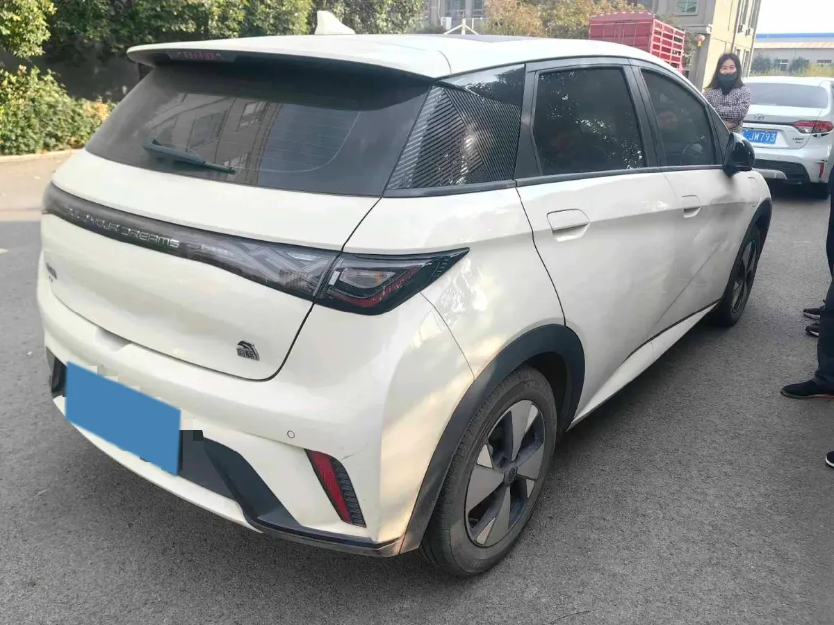 2023 BYD Dolphin BEV 44.928KWH,autocango,china used car exporter,china ev exporter,chinese used car exporter,chinese used ev exporter