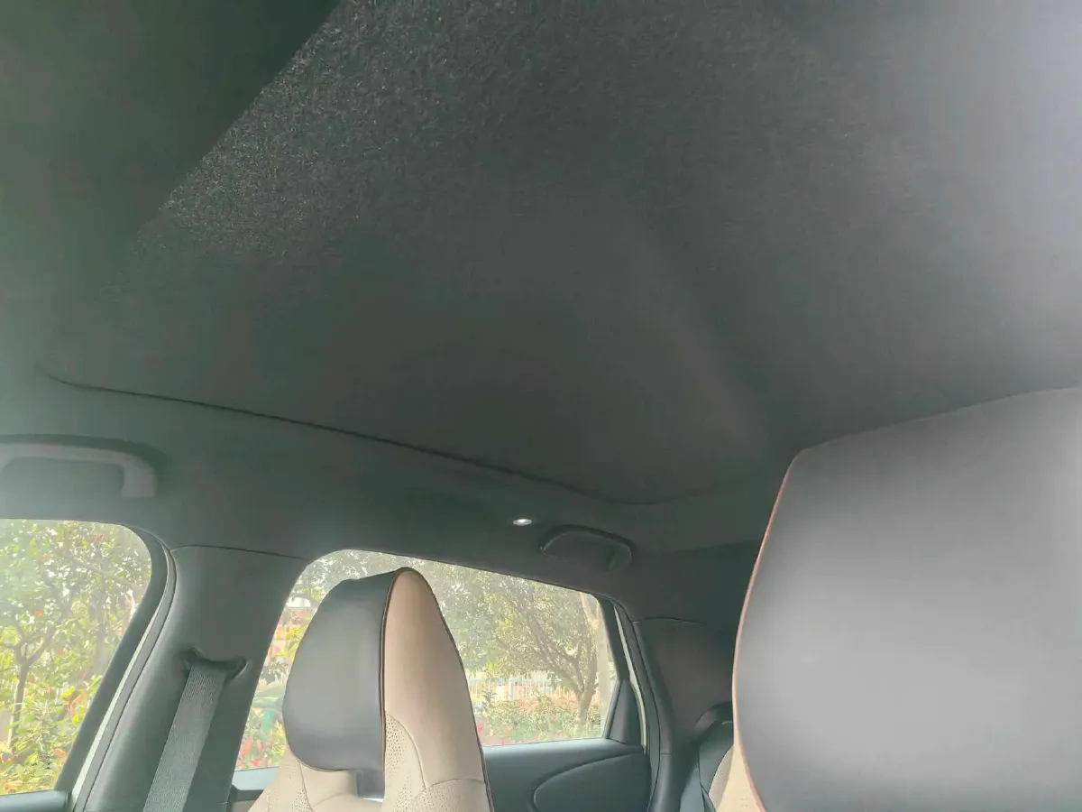 2023 BYD Dolphin BEV 44.928KWH,autocango,china used car exporter,china ev exporter,chinese used car exporter,chinese used ev exporter