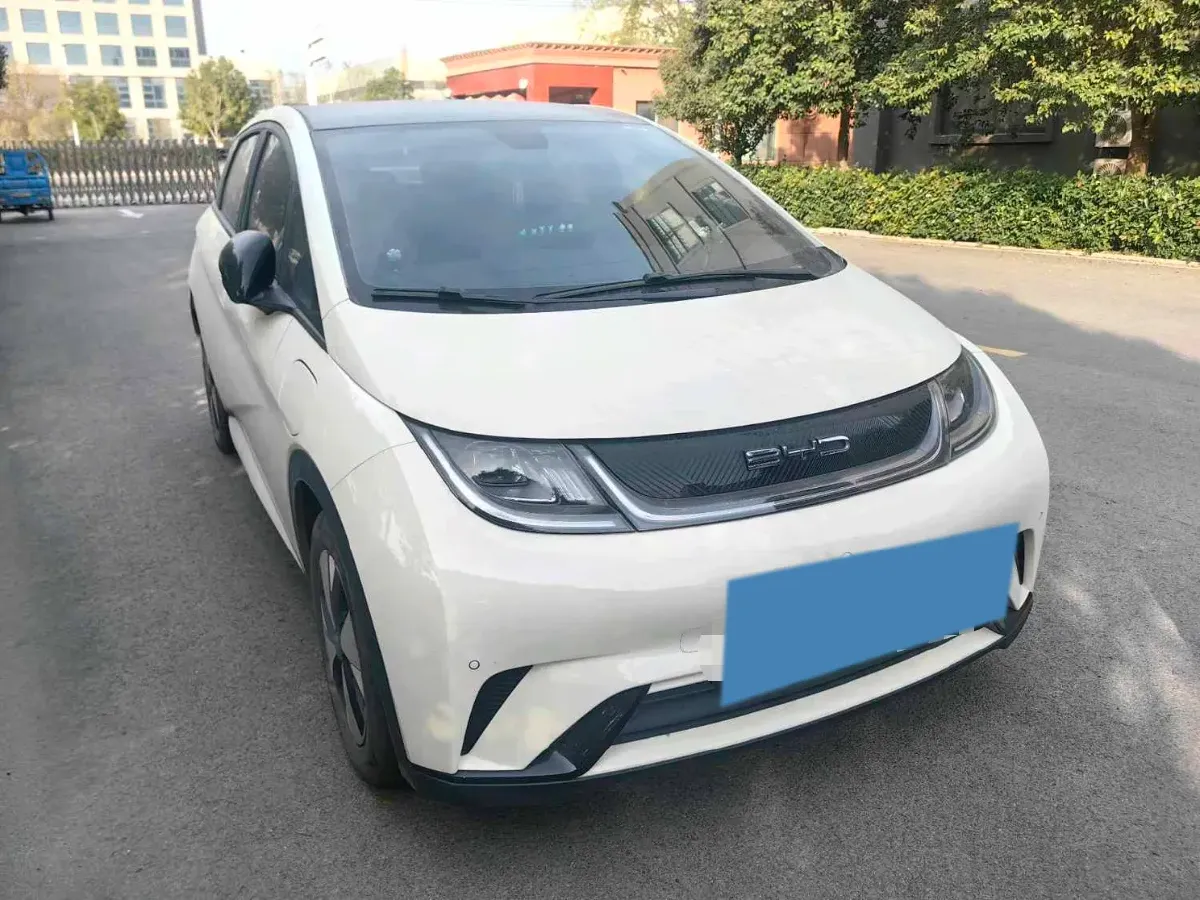 2023 BYD Dolphin BEV 44.928KWH,autocango,china used car exporter,china ev exporter,chinese used car exporter,chinese used ev exporter