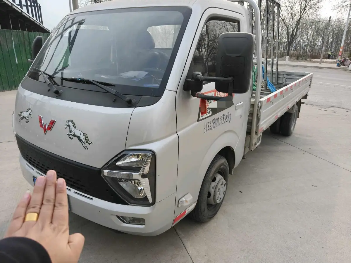 2023 WuLing Loong Truck 2.0L 136HP L4 5MT