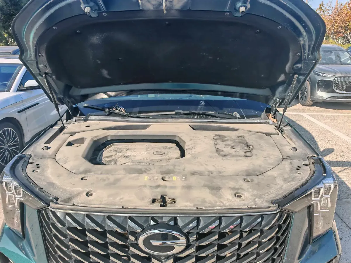 2022 GAC Trumpchi GS8 2.0T 252HP L4 8AT,autocango,china used car exporter,china ev exporter,chinese used car exporter,chinese used ev exporter