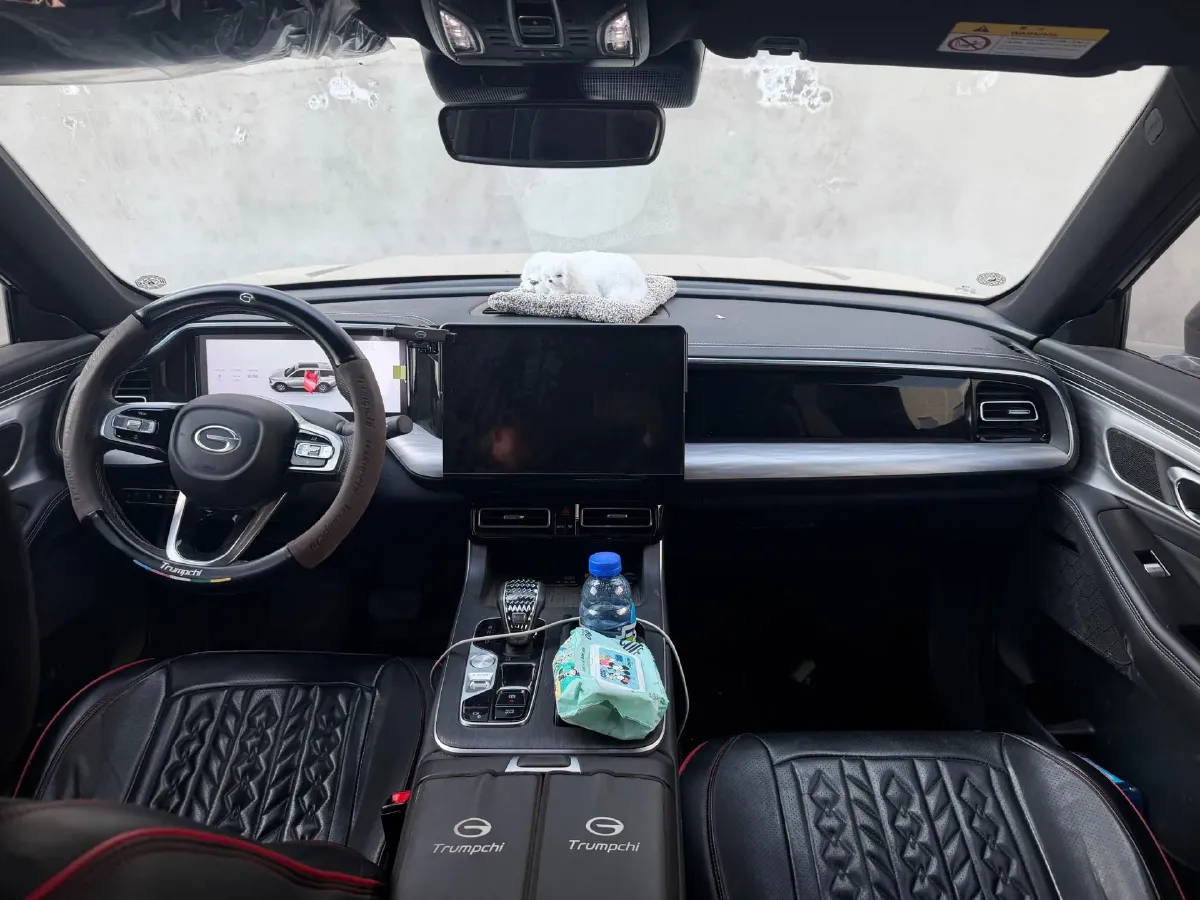 2024 GAC Trumpchi GS8 2.0T 252HP L4 8AT,autocango,china used car exporter,china ev exporter,chinese used car exporter,chinese used ev exporter