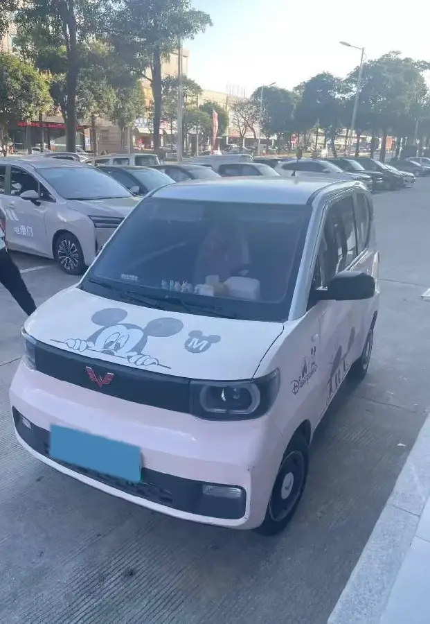 2021 WuLing HongGuang MINI EV BEV 13.9KWH