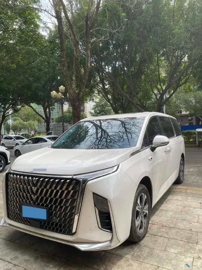 2022 MAXUS G90 2.0T 234HP L4 8AT