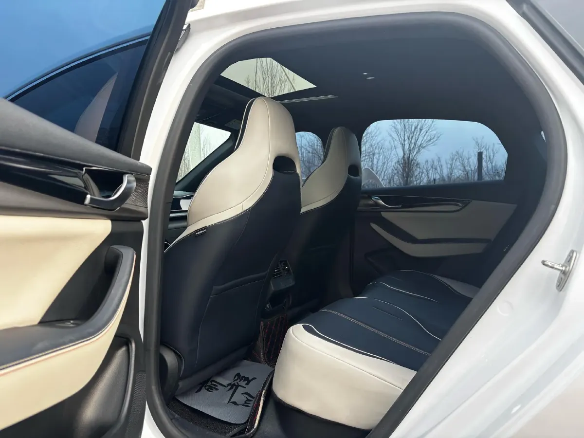 2021 DongFeng FuKang e Elysee BEV 38.4KWH,autocango,china used car exporter,china ev exporter,chinese used car exporter,chinese used ev exporter