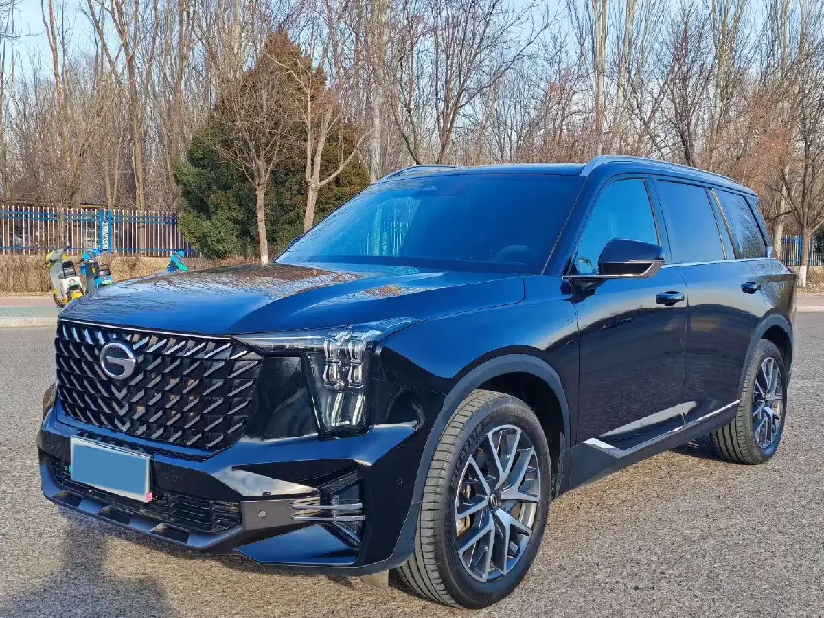 2022 GAC Trumpchi GS8 2.0T 252HP L4 8AT