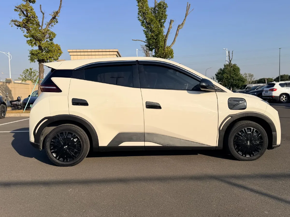 2023 BYD Seagull BEV 30.08KWH,autocango,china used car exporter,china ev exporter,chinese used car exporter,chinese used ev exporter